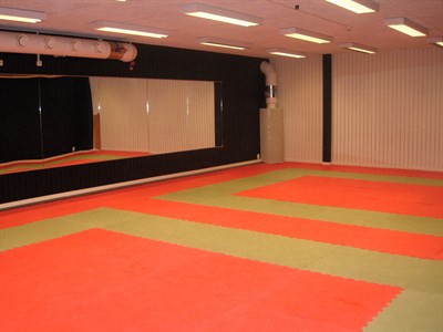 Målad dojo 1