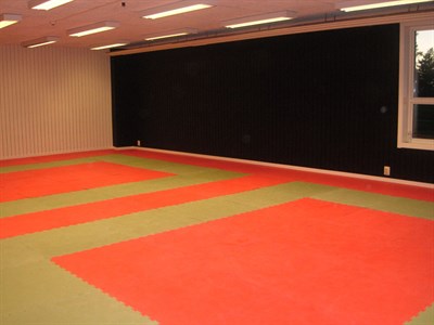 Målad dojo 2