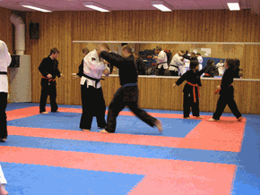 Läger med Sensei Micke