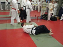 IMG_0891.jpg