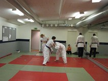 IMG_0906.jpg