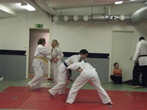 IMG_0907.jpg