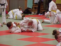 Brottning (Small).jpg