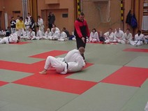 Thor håller fast (Small).jpg