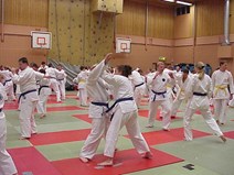 Träning (Small).jpg