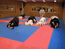 IMG_0133.gif