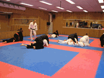 IMG_0134.gif