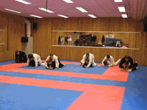 IMG_0135.gif