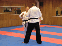 IMG_0139.gif