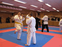IMG_0140.gif