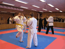 IMG_0141.gif