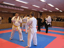 IMG_0142.gif