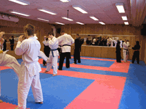 IMG_0145.gif