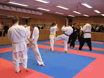 IMG_0146.gif