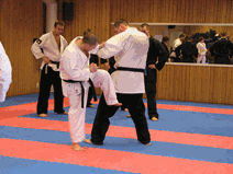 IMG_0147.gif
