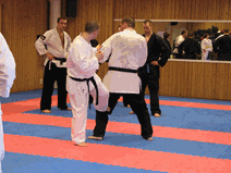 IMG_0148.gif