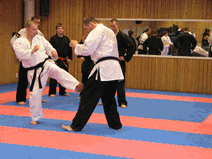 IMG_0149.gif