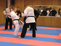 IMG_0150.gif