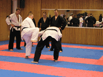 IMG_0151.gif