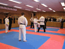 IMG_0152.gif