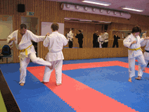 IMG_0154.gif