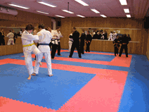 IMG_0156.gif