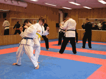 IMG_0157.gif