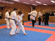 IMG_0158.gif