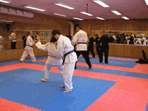 IMG_0159.gif