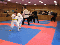 IMG_0160.gif