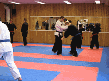 IMG_0161.gif