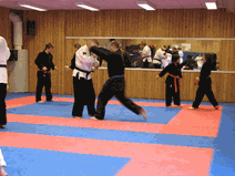 IMG_0162.gif